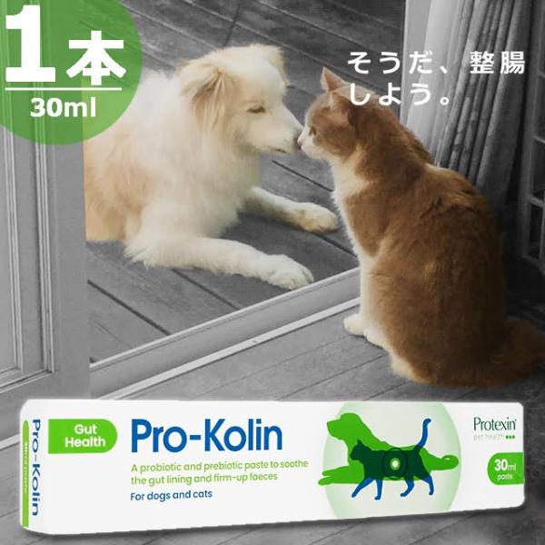 【正規品】プロコリンプラス犬猫用 [30ml×1本] 下痢 便秘 サプリメント Pro-Kolin for Dog and Cats 30ml