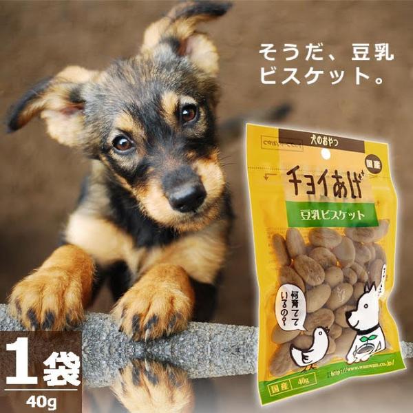 【正規品】(わんわん)チョイあげ・豆乳ビスケット [40g×1袋] 国産 国内発送