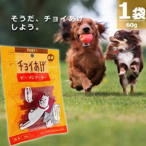 【正規品】(わんわん)チョイあげ・ビーフジャーキー [60g×1袋] シリーズの中で１番人気 国産 国内発送