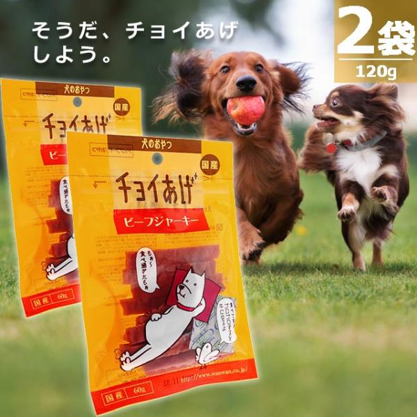 【正規品】(わんわん)チョイあげ・ビーフジャーキー [60g×2袋] シリーズの中で１番人気 国産 国内発送