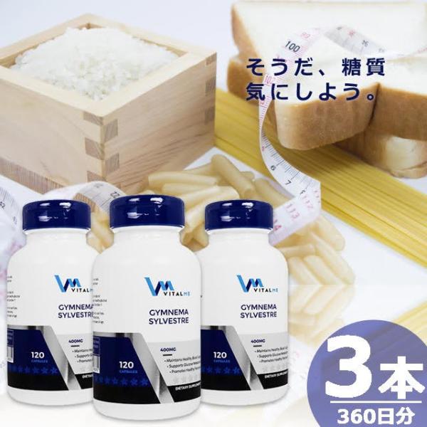 【正規品】ギムネマシルベスタ400mg [120錠×3本(360日分)] バイタルミー サプリメント VitalMe Gymnema Sylvestre 400mg