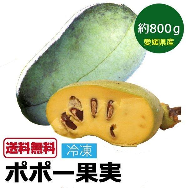 ポポーの実 ポポー 約800g 果物 マンゴーのような果実 国産 愛媛県 ぽ