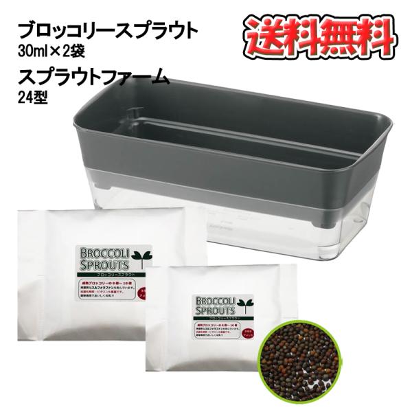 ブロッコリースプラウト30ml×2個・スプラウトファーム24型×1個 セット スプラウト 栽培セット キッチン菜園 水耕栽培 園芸 室内ガーデニング 菜園