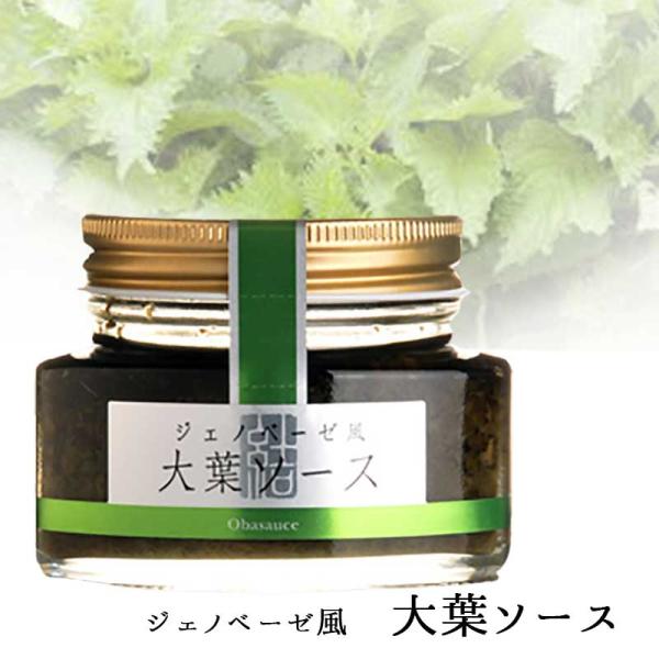 t\[X 100g WFmx[[ t 啪Y   n[u ԂȂX C^A ԂȂ@\[X@