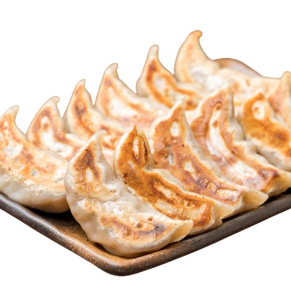 `Lq ___ ⓀLq 50×1 Ⓚ 傤 Lq M[U ԂȂX