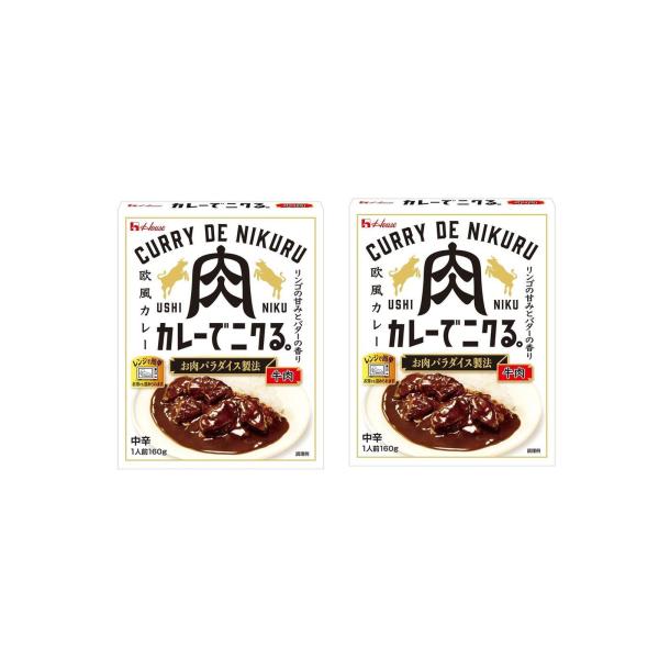カレーでニクる。牛肉 中辛 欧風カレー 160g カレー ビーフ  レトルト インドカリー サタプラ サタデープラス ひたすら試してランキング×2個
