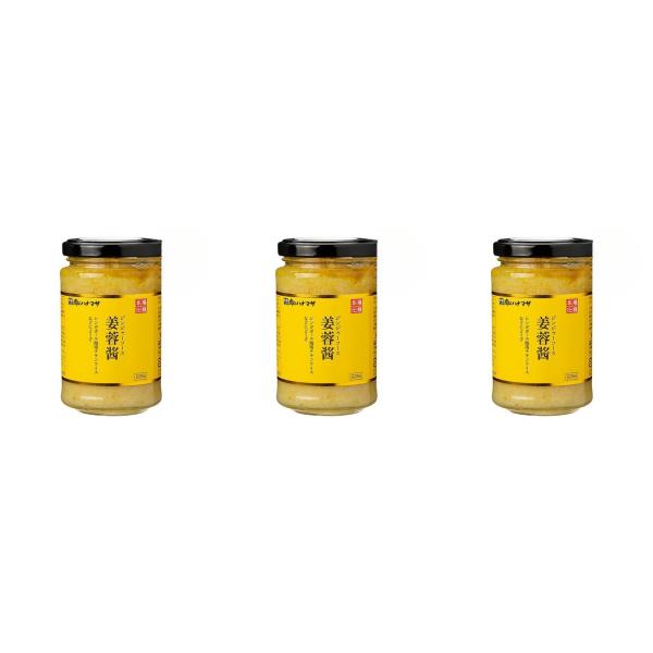 肉のハナマサ 姜蓉醤[ジンジャーソース] 225g×3個 プロ 業務用 家庭用 調味料 お供 生姜 中華