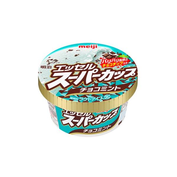エッセル スーパーカップ チョコミント 200ml×1個 冷凍 アイス ミント チョコチップ 爽快 大容量 定番 デザート