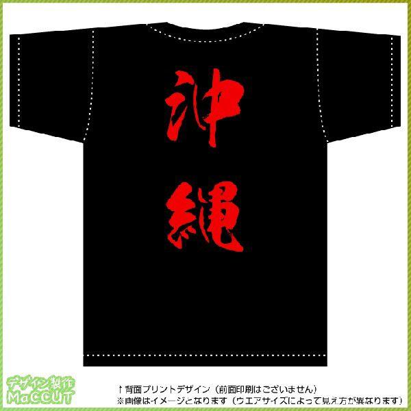 沖縄ティーシャツ（黒） 背面プリント Tシャツ カットソー : ぜっけん