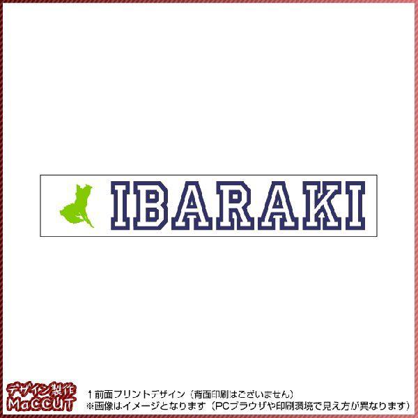 錧^I(20×110TCY) }t[^I