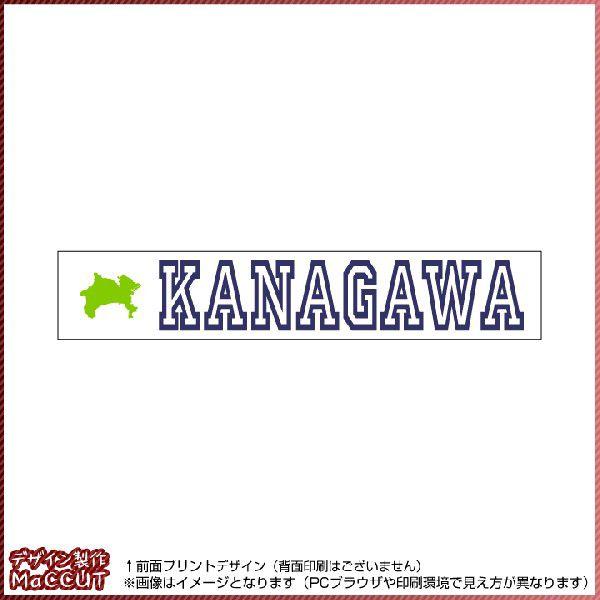 _ސ쌧^I(20×110TCY) }t[^I