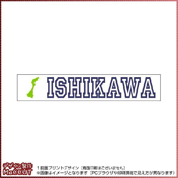 ΐ쌧^I(20×110TCY) }t[^I