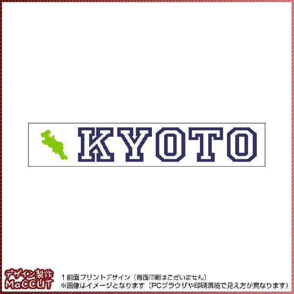 s{^I(20×110TCY) }t[^I