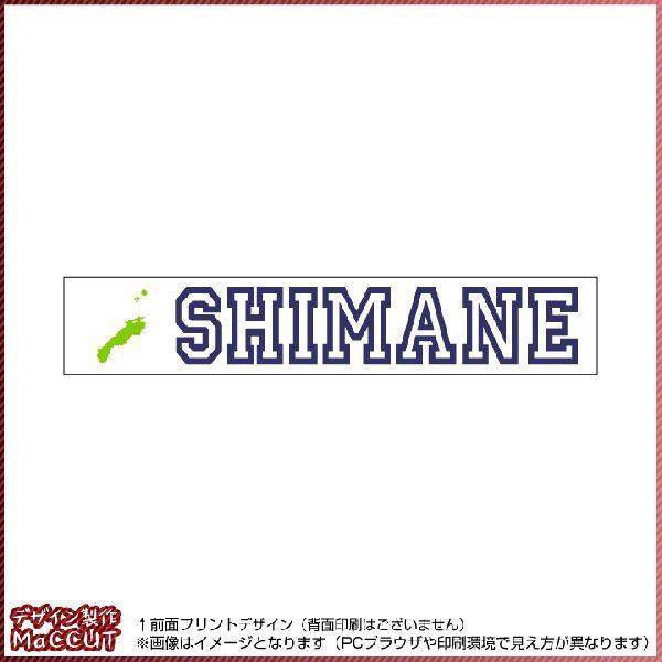 ^I(20×110TCY) }t[^I