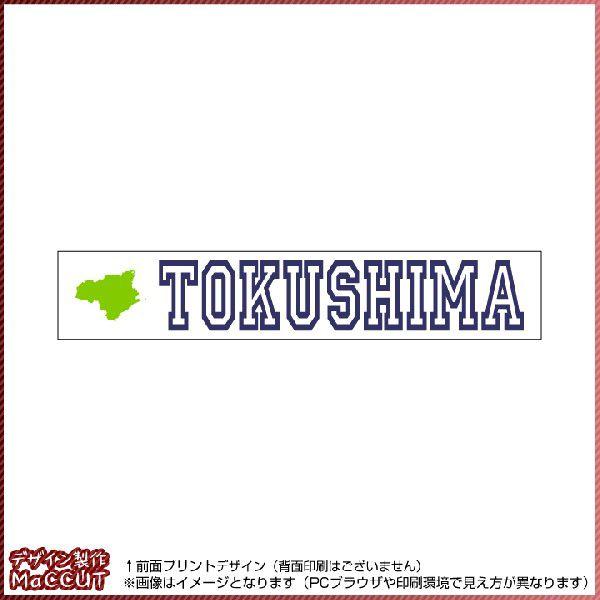 ^I(20×110TCY) }t[^I