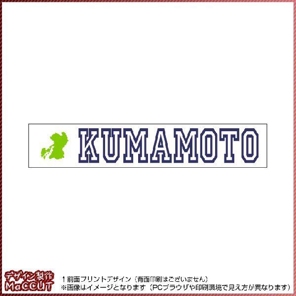 F{^I(20×110TCY) }t[^I