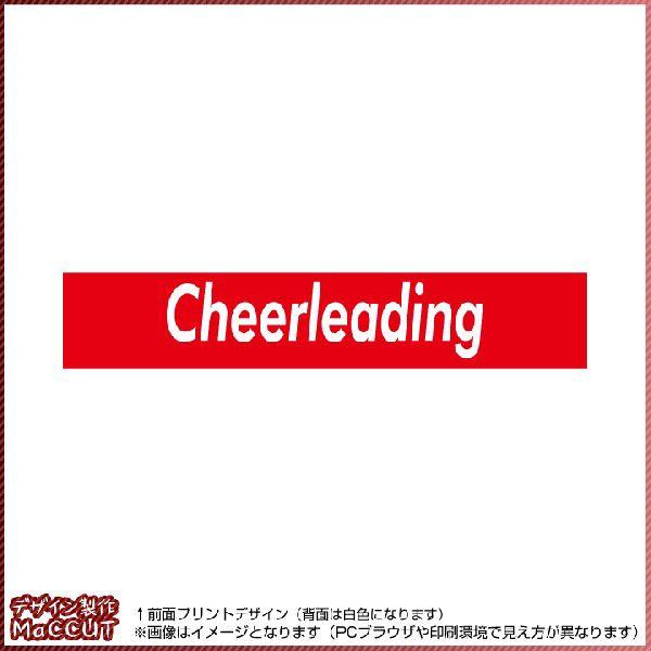 `A[fBO^I(20×110TCY) }t[^I