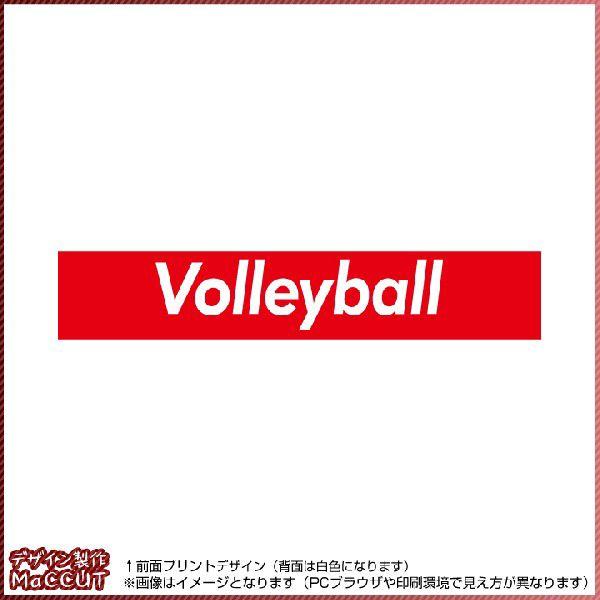 o[{[^I(20×110TCY) }t[^I