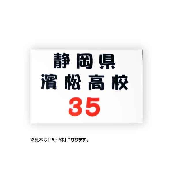 [bP(|pqfUC) W18cm×H12cm X|[c[bP ̑iZ