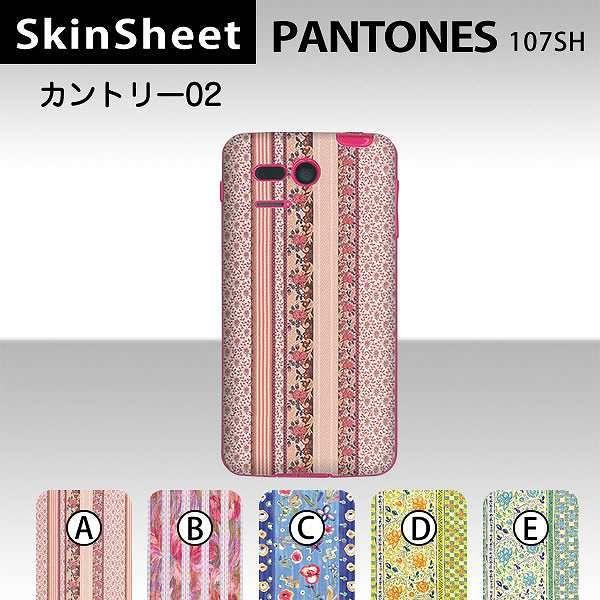PANTONE 5 107SH  ��p �X�L���V�[�g ���� �y �J���g���[02 ���z