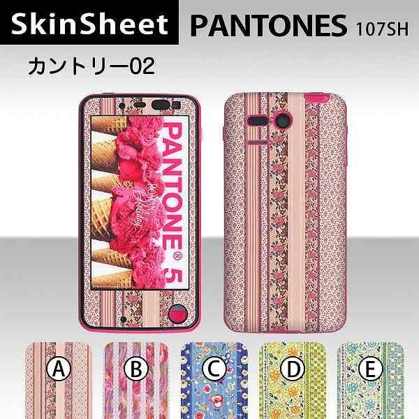 PANTONE 5 107SH  p XLV[g OʃZbg(\ʁE) y Jg[02 z