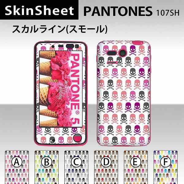 PANTONE 5 107SH  ��p �X�L���V�[�g �O�ʃZ�b�g(�\�ʁE����) �y �X�J�����C���E�X���[�� ���z