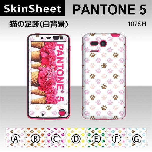 PANTONE 5 107SH  ��p �X�L���V�[�g �O�ʃZ�b�g(�\�ʁE����) �y �L�̑���(���w�i�j ���z