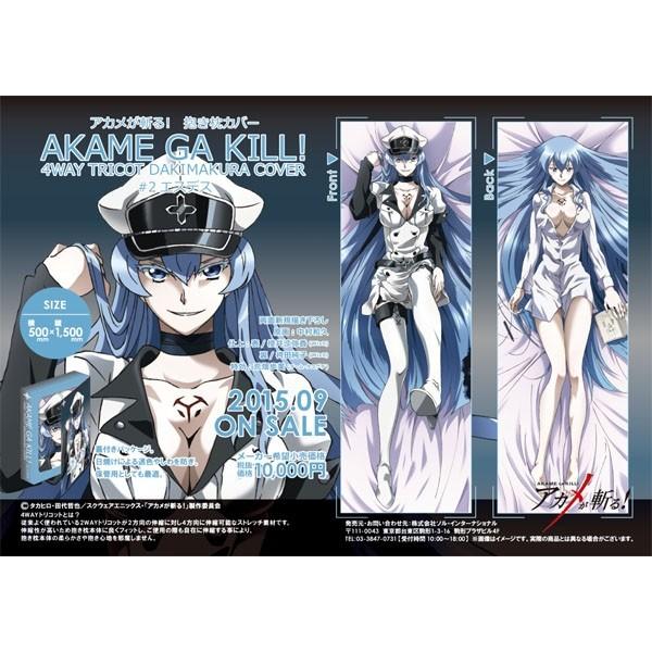 予約 アカメが斬る 抱き枕カバー 2 エスデス ソル インターナショナル まちキャラ ヤフー店 通販 Yahoo ショッピング