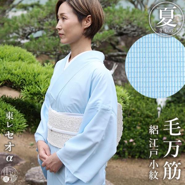 [ 夏きもの ] 洗える 夏着物 絽 江戸小紋 毛万筋 空色 M L 日本製 洗える着物 セオアルファ 東レ セオα 仕立て上がり プレタきもの 絽着物 着物 きもの