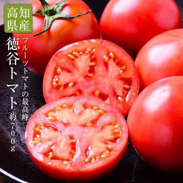 高知県 徳谷トマト フルーツトマト　送料無料 4k machika_10000058