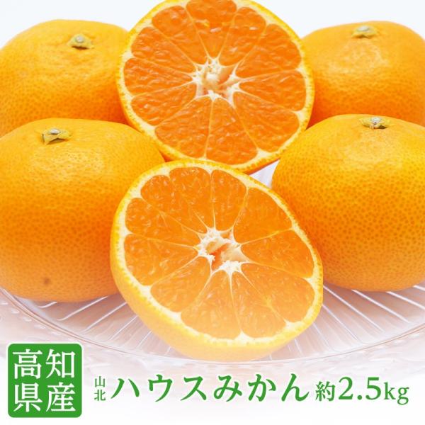 高知県産 山北 ハウスみかん S‐Mサイズ 約2.5kg みかん糖度