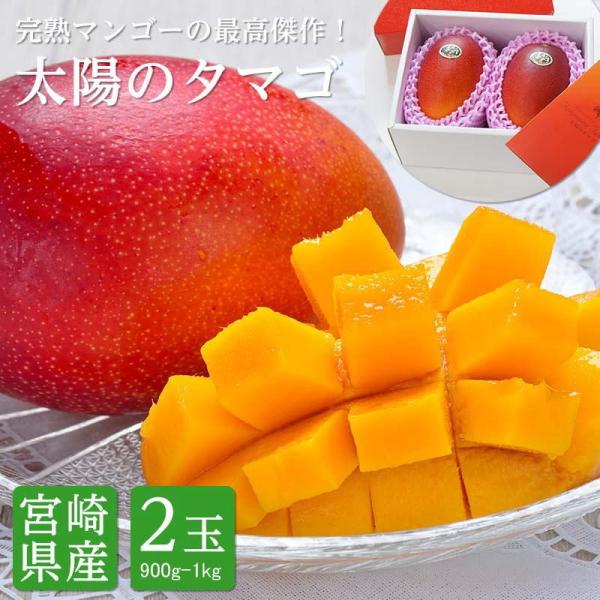 宮崎県産 太陽のタマゴ（完熟マンゴー）3Lサイズ 2玉 約900g〜1kg : 街