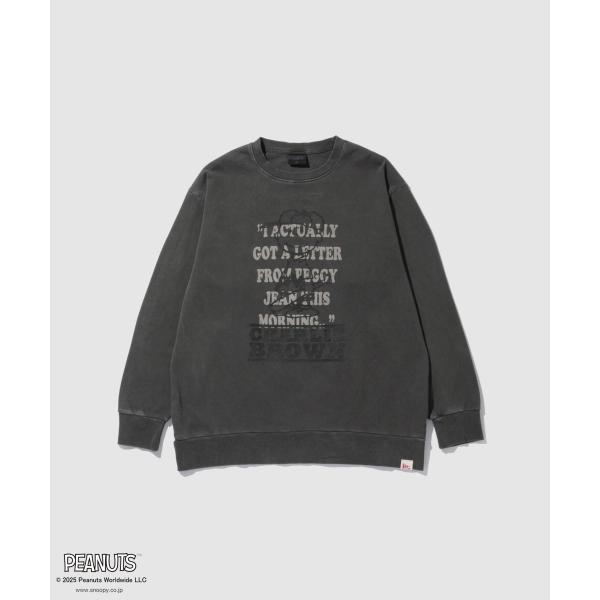 ピグメント加工による独特の色ムラが魅力の裏毛トレーナー。カラーは、スミクロ・ブルー系の2色展開です。■デザインフロントにカスレプリントとピグメント加工したヴィンテージ感のあるアイテム。■ポイント綿素材の裏毛生地を使用し、柔らかく快適な着心地...