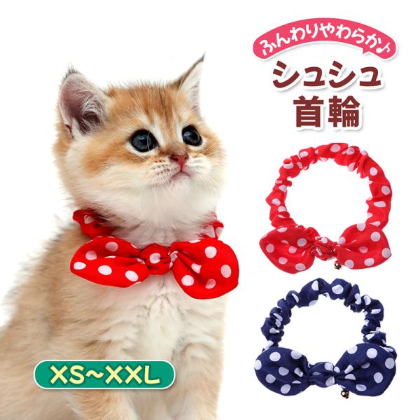 macks-i_cat-syusyu-01