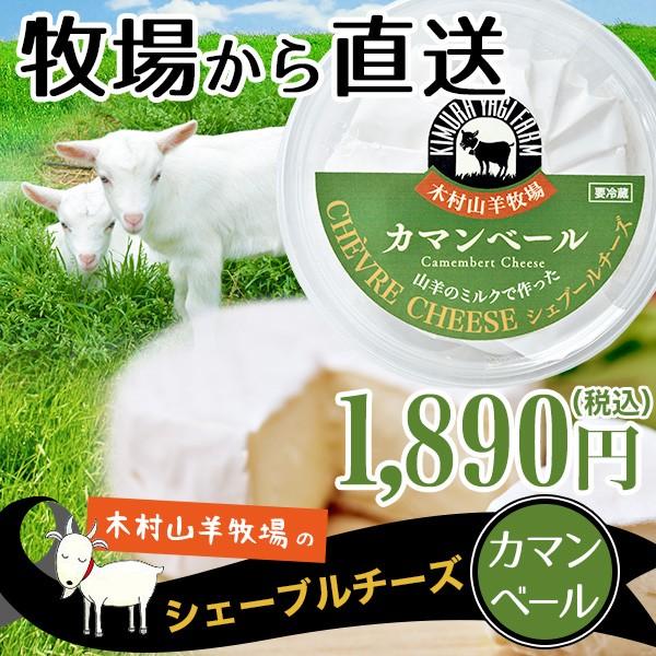 チーズ 木村山羊牧場のやぎさんのシェーブルチーズ カマンベールチーズ 大分県佐賀関で木村夫婦に愛情たっぷり注がれた山羊ミルク100 使用 44 002 0008 産直本舗 Yahoo 店 通販 Yahoo ショッピング