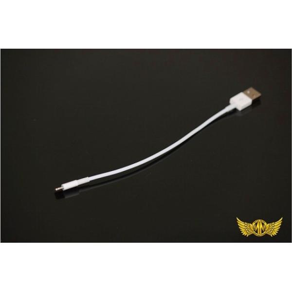 MADMAXӍ!!ύόTE[֑!! iPhone7 iPhone7PLUS iPhone USBP[u 240