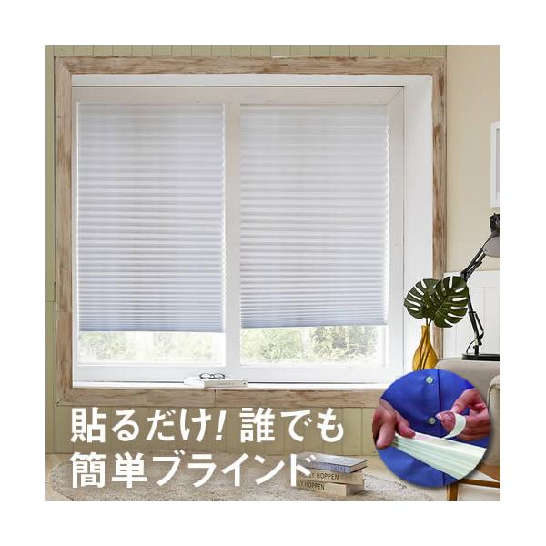 ・シールはがして簡単取り付け。両面シール式だから、誰でもどこでも「３０秒で」簡単設置！・簡単な間仕切りや、キッチンや本棚の目隠しになどにも【 簡単・安い・早い 】を実現したアイデア商品なんです。・短くしたいときは、付属の専用クリップで長さを...