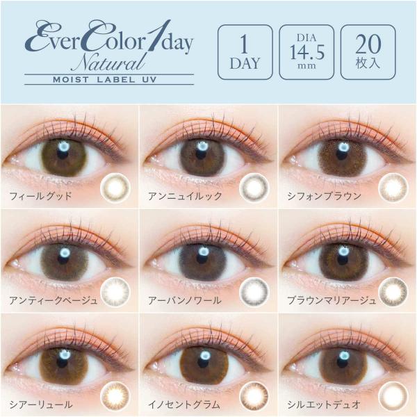 割引 エバーカラーワンデーナチュラル アイセイ 2箱 コンタクトレンズ ケア用品 Bitel Huancayo Pe