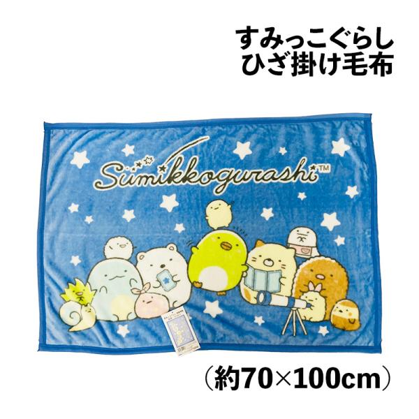 人気のキャラクター★商品詳細★●サイズ：約70×100cm●ポリエステル100％●中国製 ●発送方法：宅配便