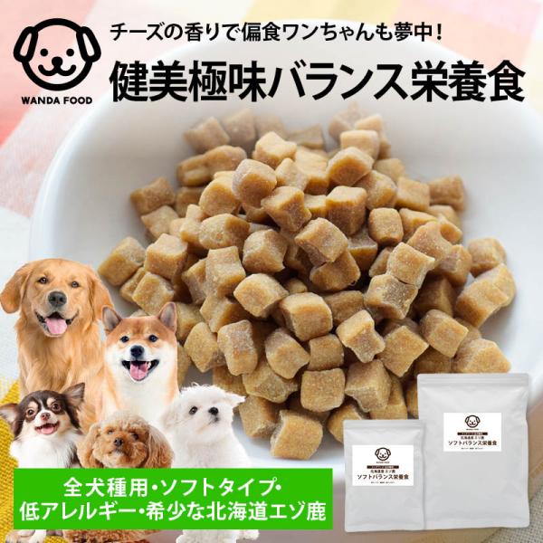 前田家 ワンダフード 国産 低アレルギー エゾ鹿 ソフト バランス栄養食 330g 北海道産 ジビエ 鹿肉 ドッグフード 無着色 高タンパク 低脂肪 低カロリー EPA