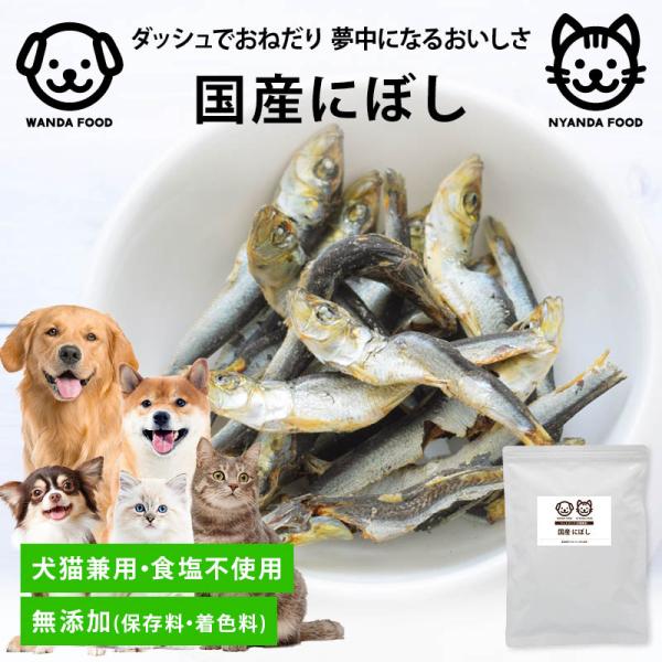 猫用品 国産にぼし 食塩不使用 長崎県産 煮干し いぬ ねこ 兼用 にぼし 無着色 猫用 おやつ 猫用おやつ 犬用おやつ 1000円ポッキリ