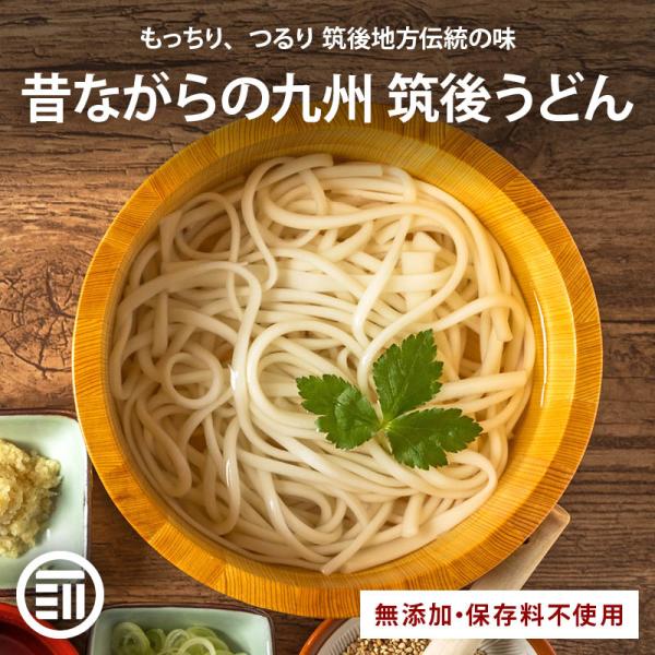 筑後うどん 乾麺 2人前 x4袋 ゆで時間7分 ざるうどん かけうどん