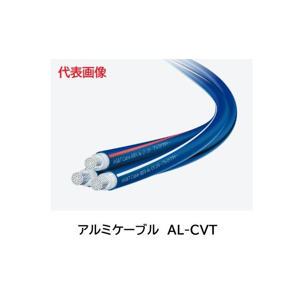 maegawadenki2_alcvt250
