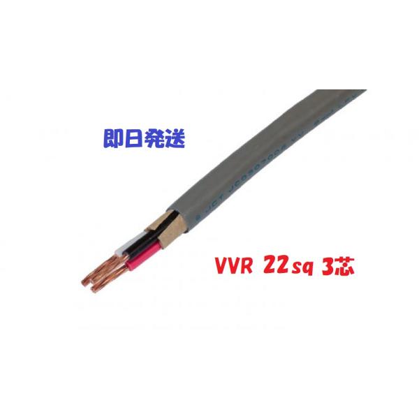 VVR（SV） 22×3芯 vvr 電力ケーブル 電線 （22ｓｑ 3ｃ） 1ｍ〜 :vvr1200:前川電機 通販 