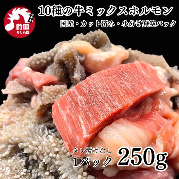 牛タン入り！タレ漬け無し 国産 10種の牛ミックスホルモン[500g](冷凍) ミックスホルモン 希少部位 皮付きミノ センマイ フワ ハツ ハチノス