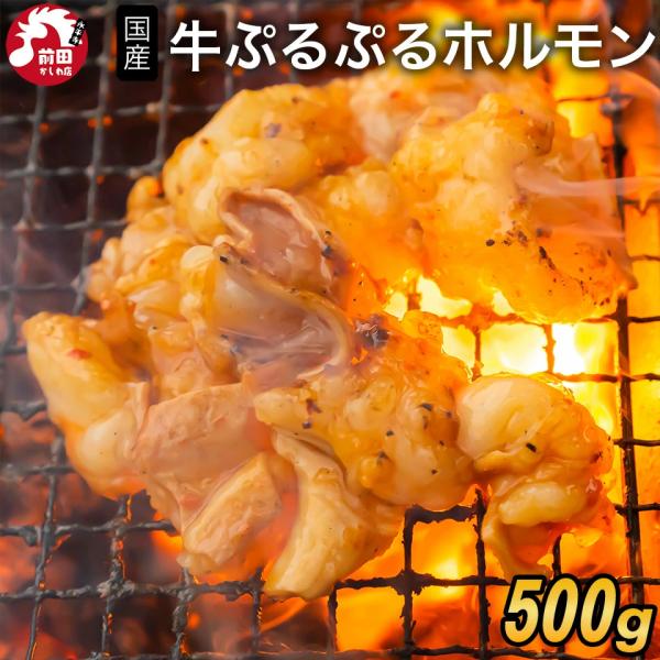 焼肉 ホルモン マルチョウの人気商品 通販 価格比較 価格 Com