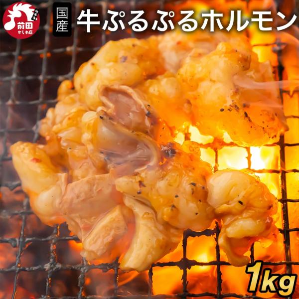 焼肉 ホルモン マルチョウの人気商品 通販 価格比較 価格 Com