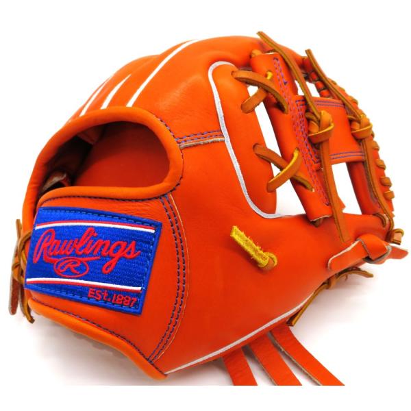 Rawlings（ローリングス） 硬式グラブ Rawlings HOH プレミアム RGGC
