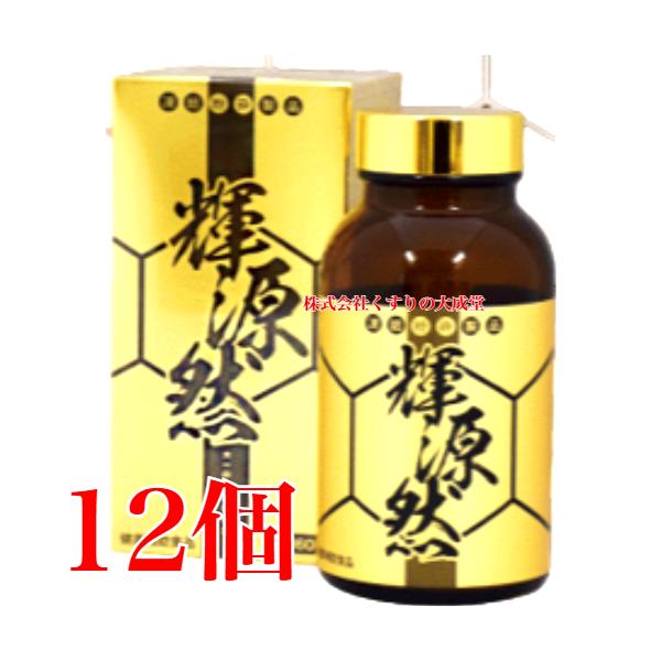 maganuma-shop_kigenzen-360-12ko