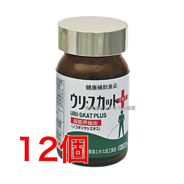 トイレライフを快適にのこぎりやし＋花粉エキスが中高年男性のトイレライフを快適で健康なものに導きます。 ノコギリヤシ 脂溶性の栄養が豊富に含まれており、トイレ対策の天然植物素材 として支持されています。花粉エキス アミノ酸 ミネラル ビタミン...